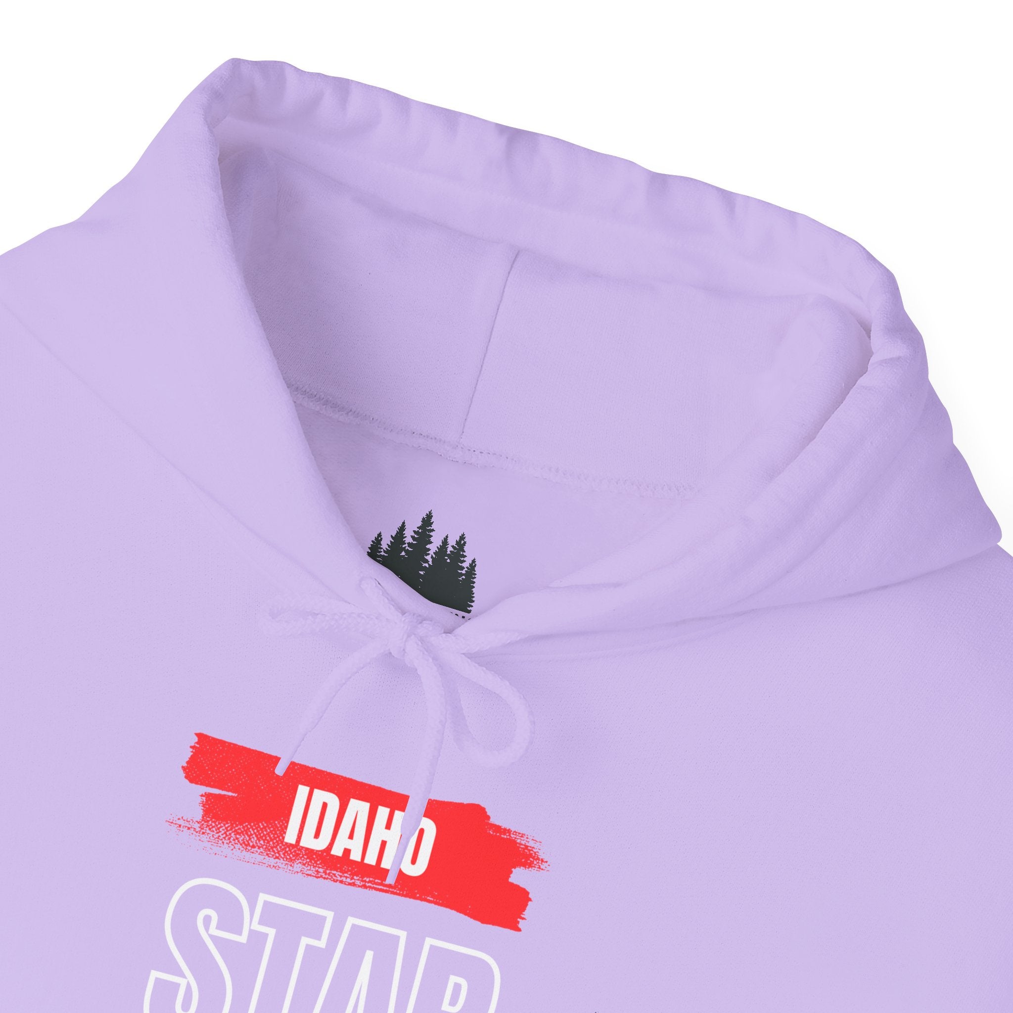 Idaho American Star Hoodie with Sleeve Logo