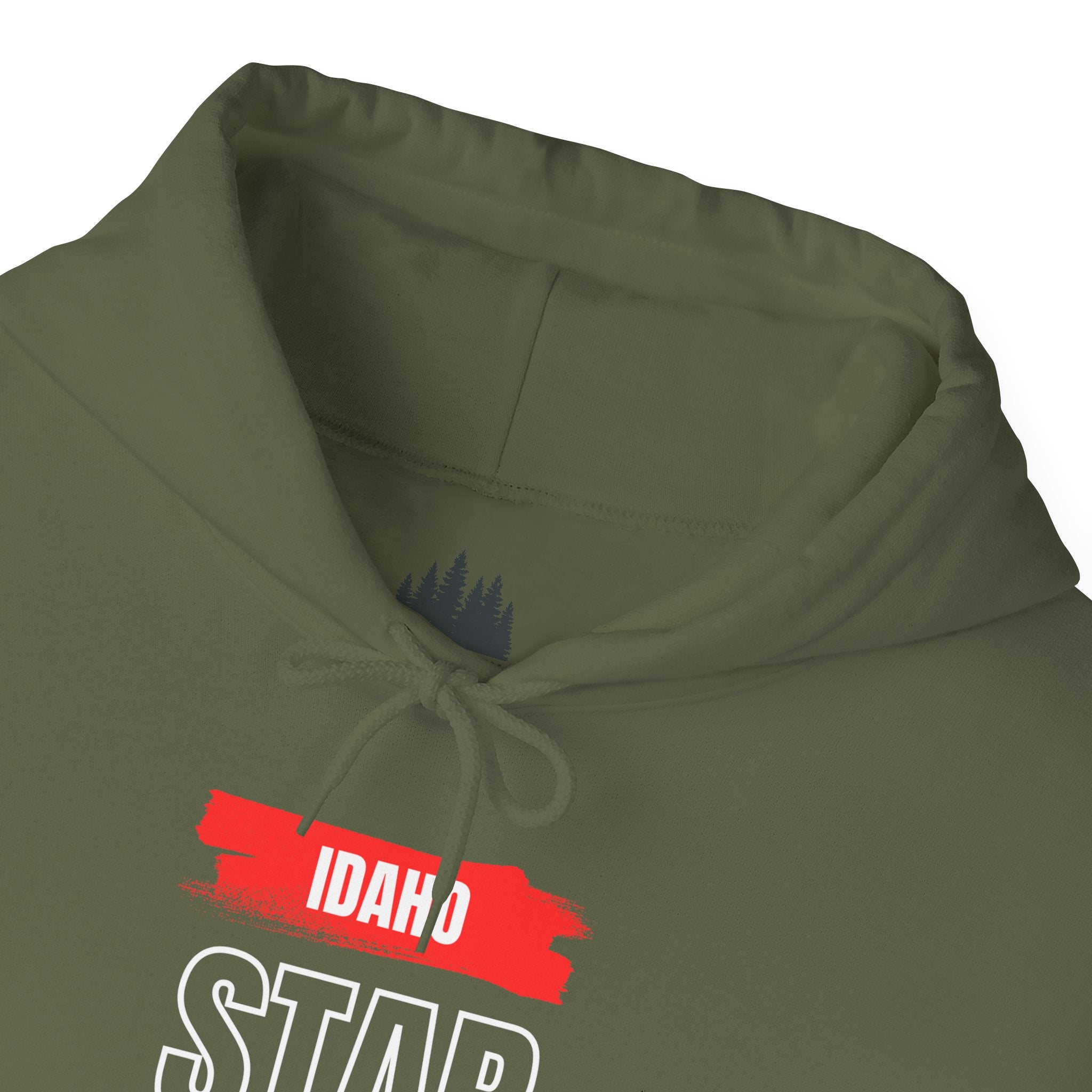Idaho American Star Hoodie with Sleeve Logo