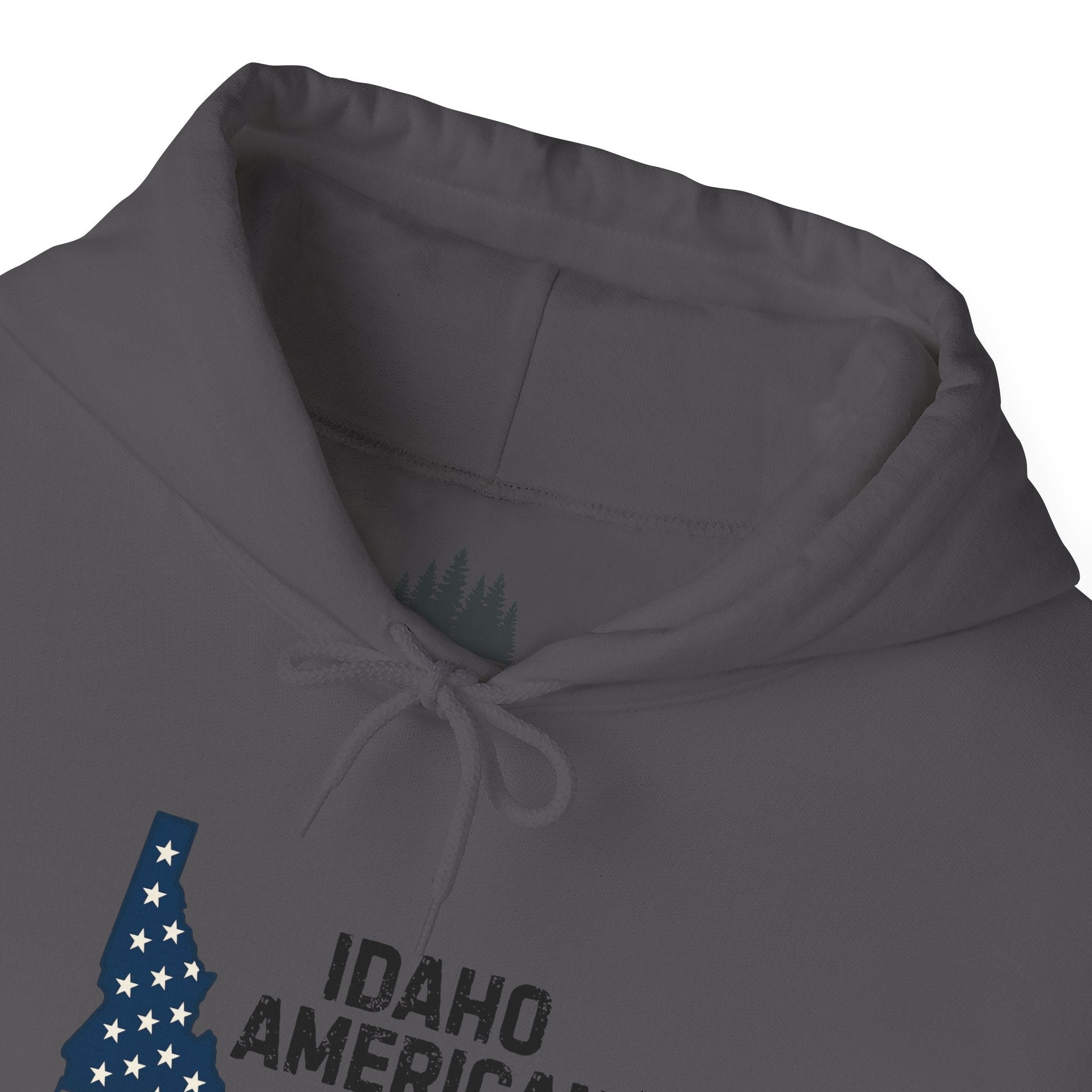 Idaho American Dad Hoodie with Sleeve Logo
