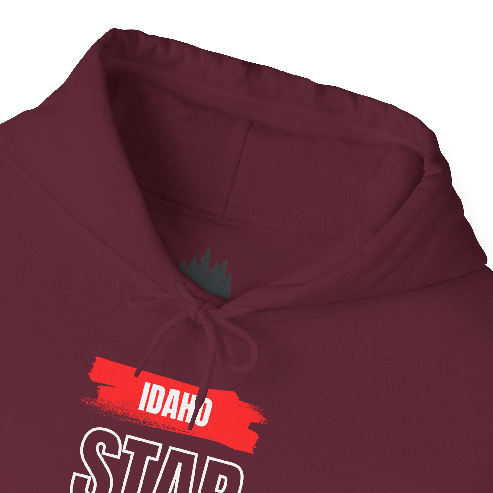 Idaho American Star Hoodie with Sleeve Logo