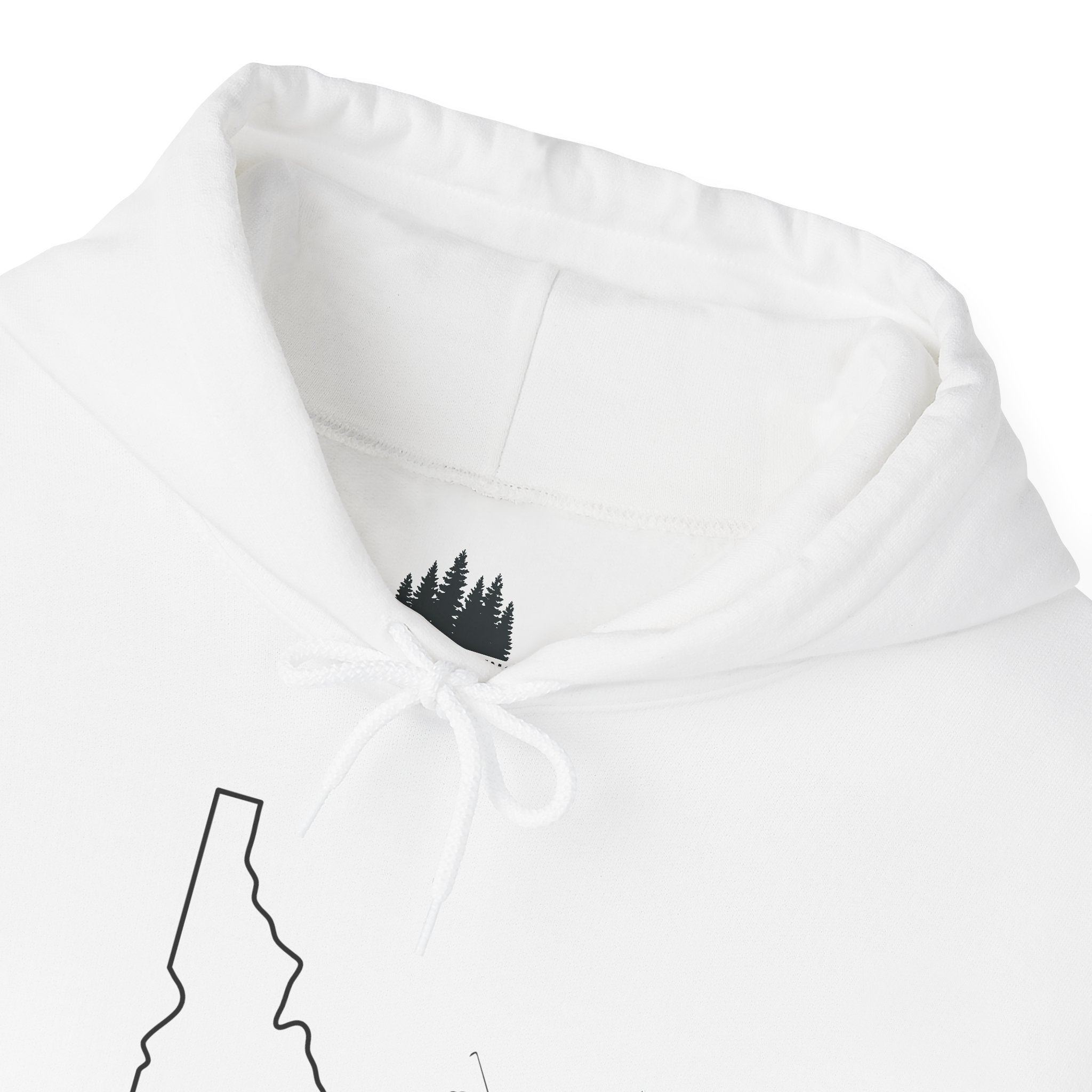 'Idahole In One' Men's Golf Hoodie with Sleeve Logo