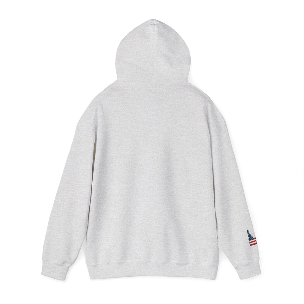 'Idahole In One' Men's Golf Hoodie