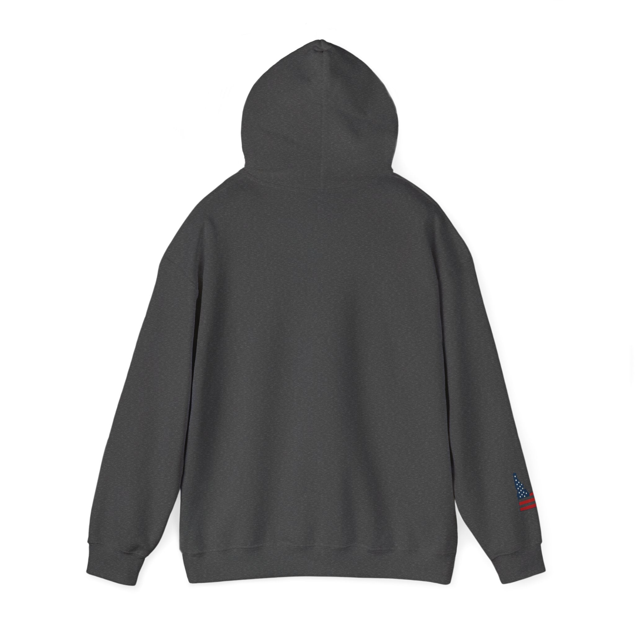'Idaho American' Hoodie with Sleeve Logo
