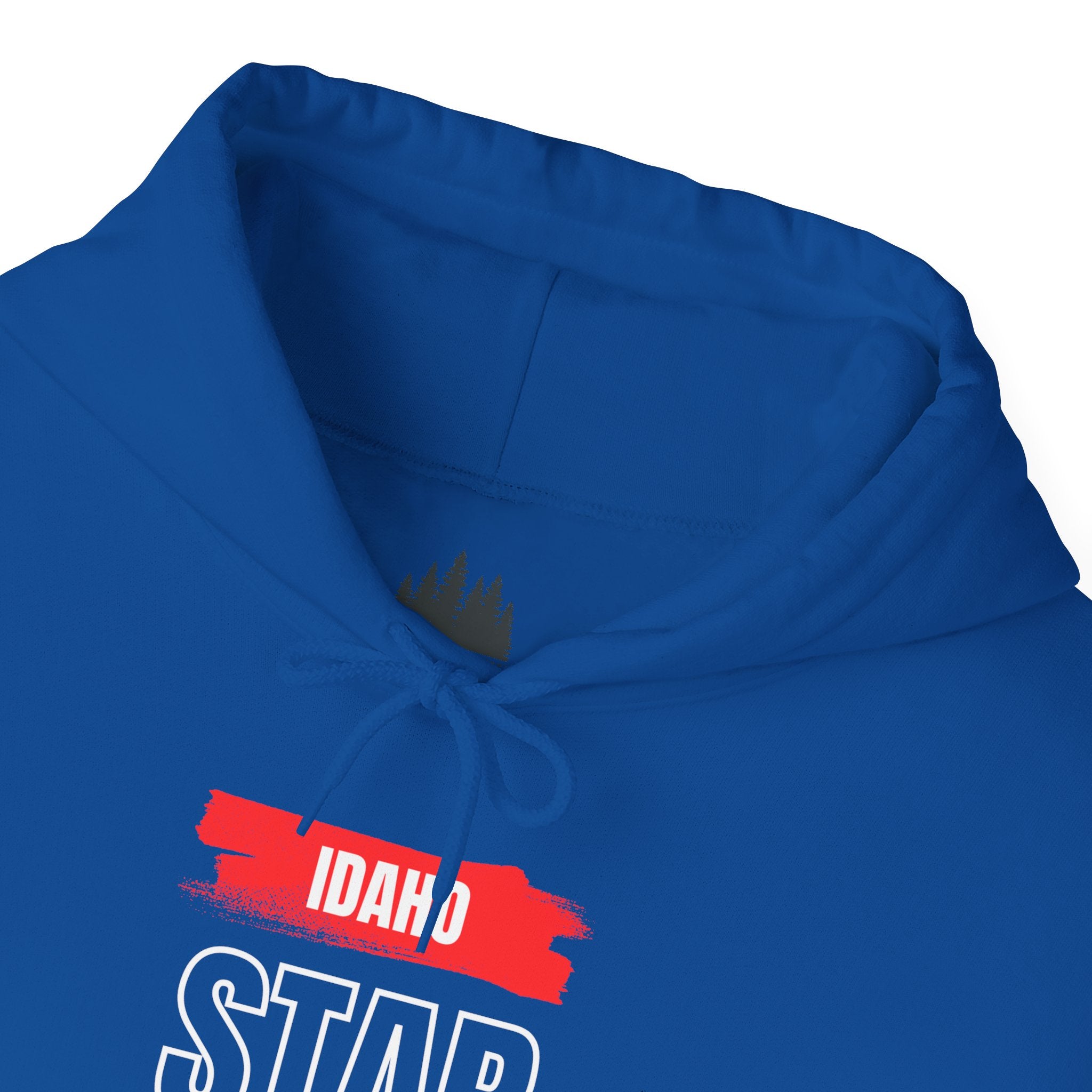 Idaho American Star Hoodie with Sleeve Logo