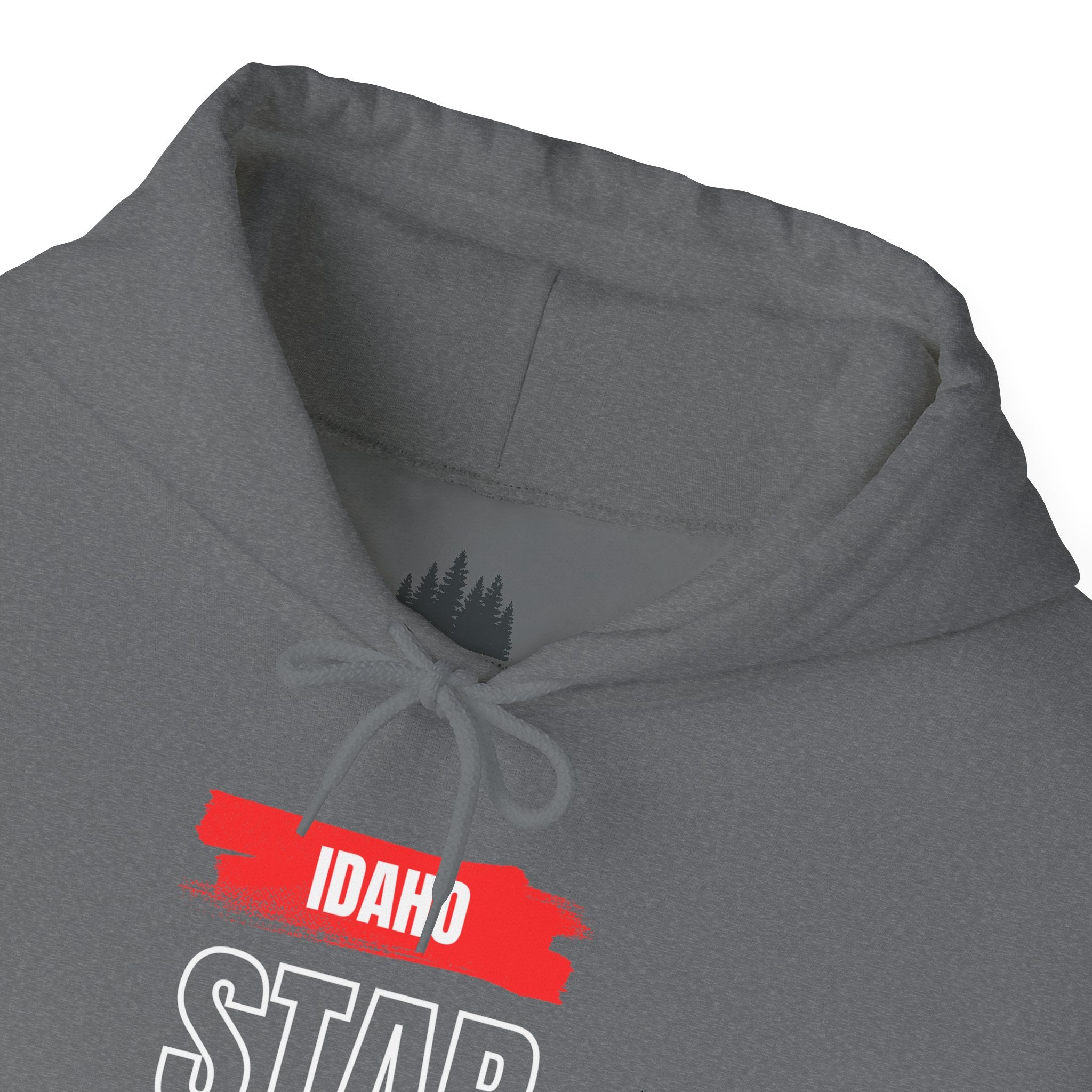 Idaho American Star Hoodie with Sleeve Logo