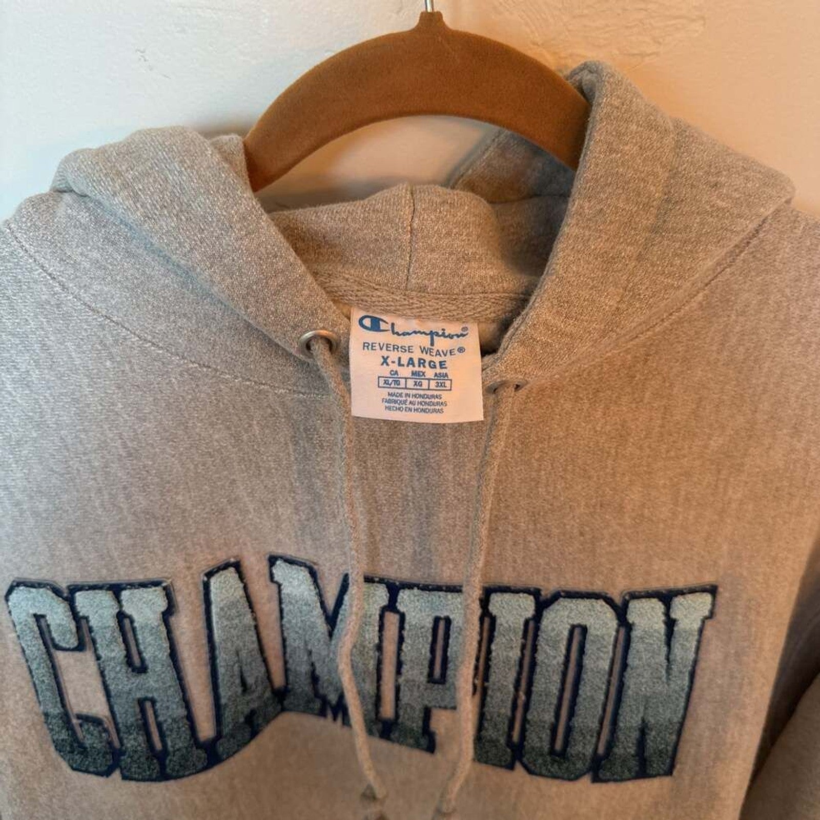 Champion Reverse Weave Chenille Ombré Pullover Hoodie