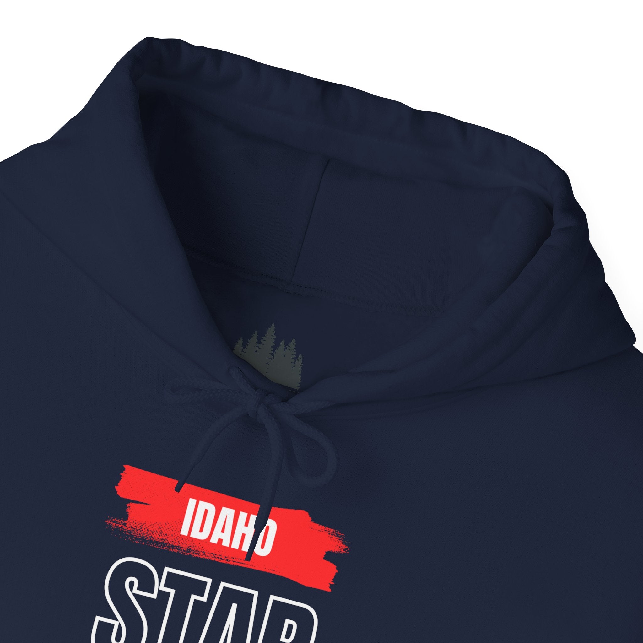 Idaho American Star Hoodie with Sleeve Logo