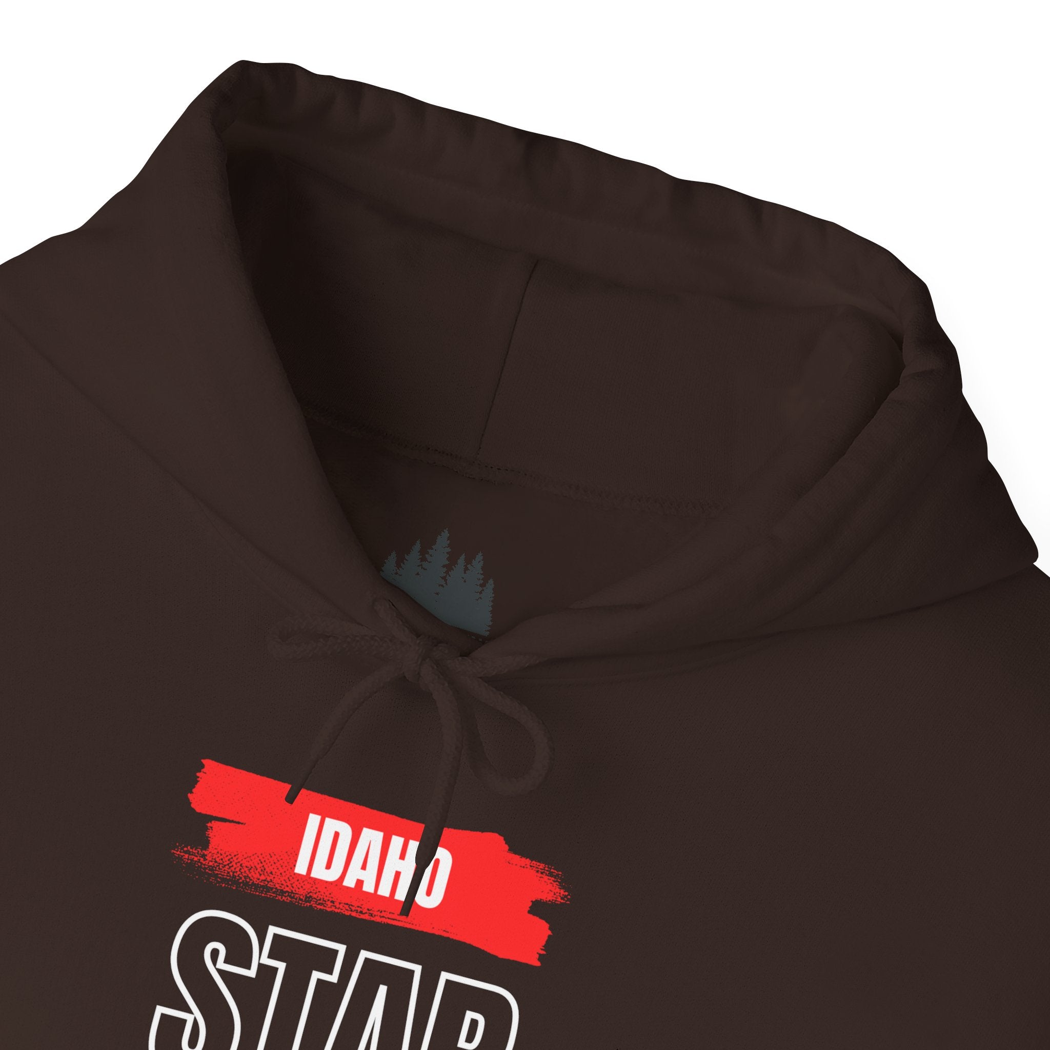 Idaho American Star Hoodie with Sleeve Logo