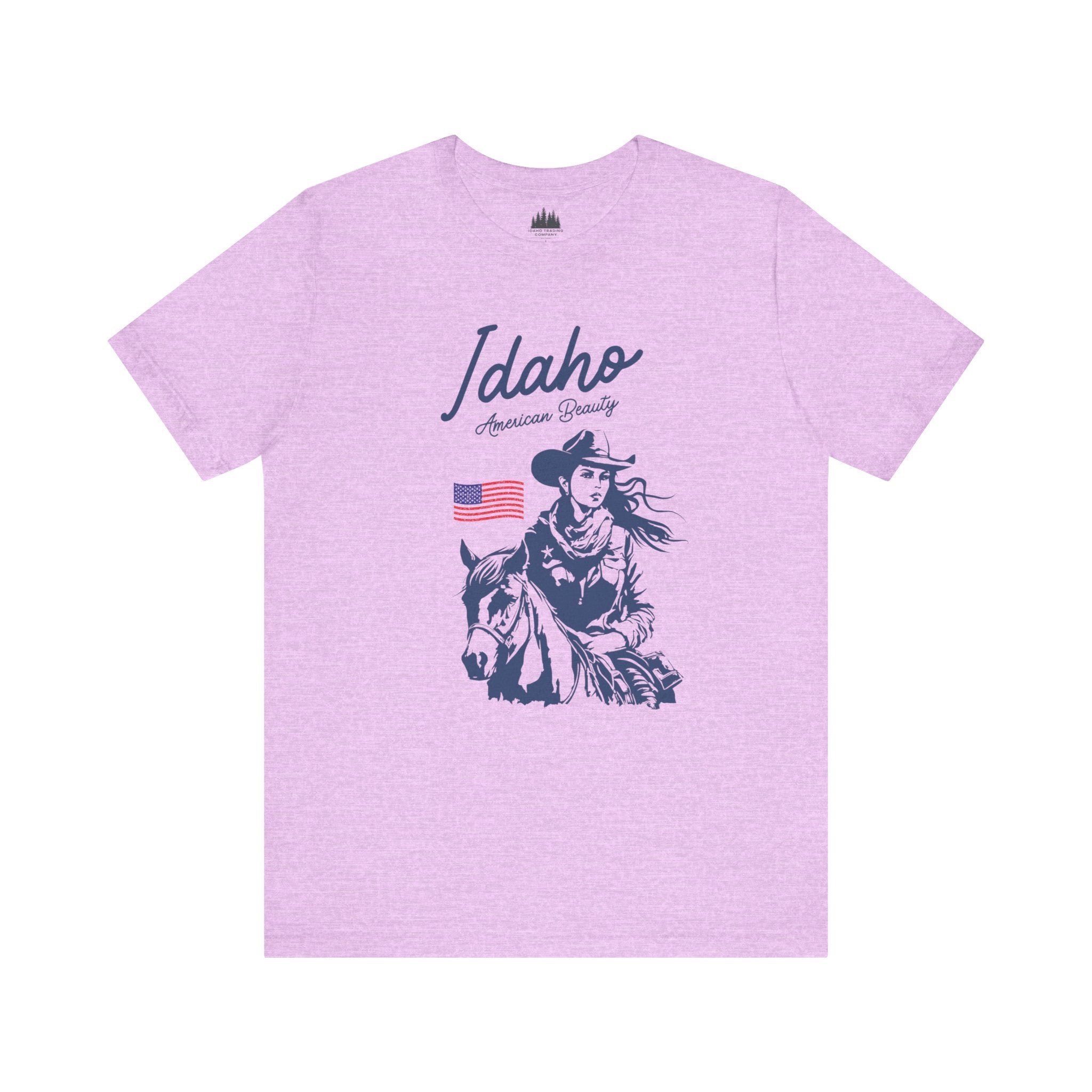 Idaho American Beauty Vintage Western T-Shirt