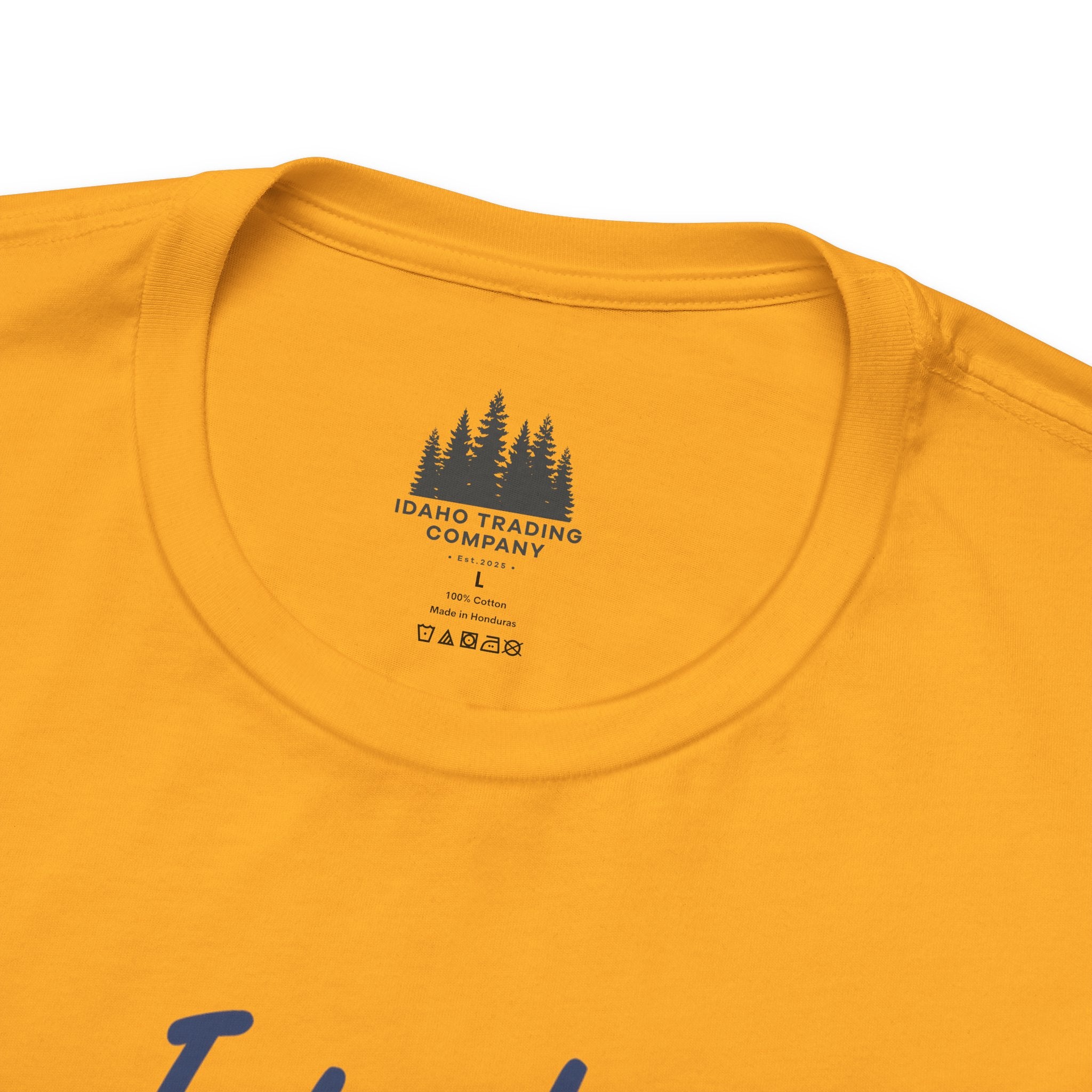 Idaho American Beauty Vintage Western T-Shirt