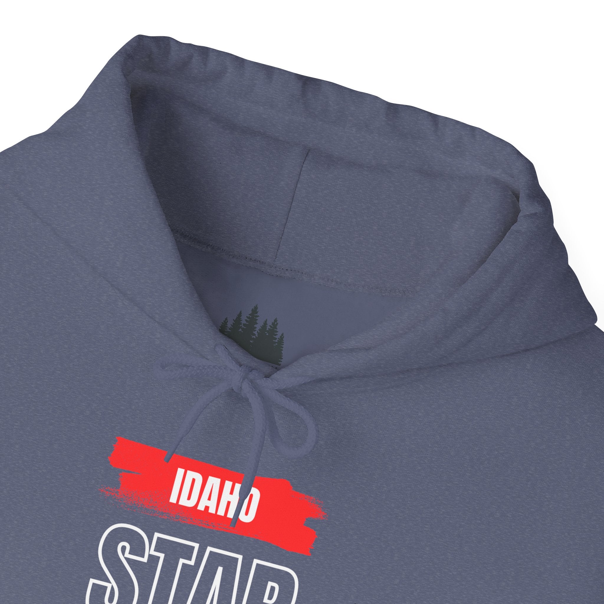 Idaho American Star Hoodie with Sleeve Logo